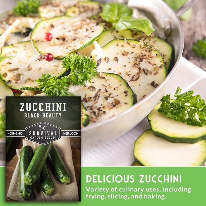 Black Beauty Zucchini Seeds for Planting - Heirloom Summer Squash Variety for Vegetable Garden Growing - High Yield Dark Green Zucchinis - Survival Garden Seeds (1 Pack)
