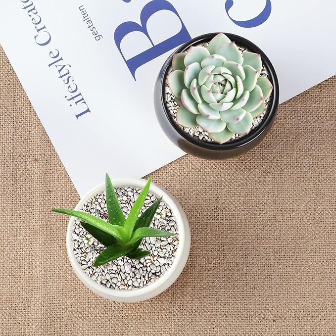 SHECIPIN 2 Pack Succulent Pots, 2.5 Inch Mini Ceramic Pots for Flower or Cactus Plants with Drainage Hole,Plants Not Included (Black)