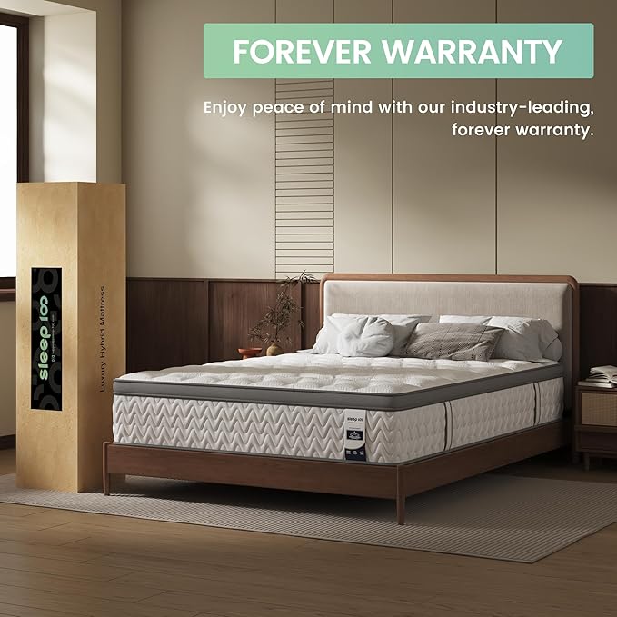 Queen Mattress 10 Inch, 5-Zone Deep Sleep Firm Mattress with Extra Lumbar & Shoulder Support, Hotel Collection Hybrid Mattresses Pain Relief - Fiberglass Free - No Odor - 365 Night Trial
