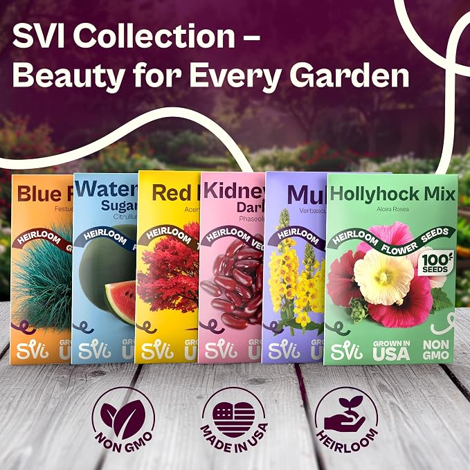 SVI 200 Fordhook Giant Chard Seeds (Beta Vulgaris) - Swiss Chard, White Stem Leafy Greens, Mild Flavor, Heirloom Seed in Seed Packets - Vegetable Seeds for Home Garden, Containers and Outdoor Beds