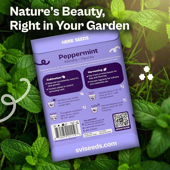 SVI 2500 Peppermint Seeds (Mentha piperita) - Aromatic Perennial Herb, Peppermint for Tea, Culinary Use - Non GMO & Herb Seeds for Outdoor & Indoor Garden, Containers