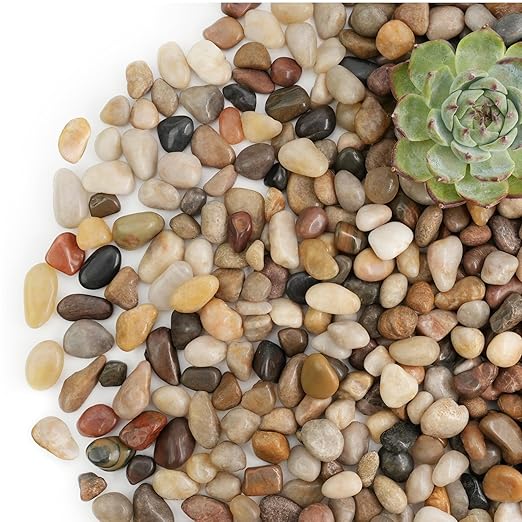 NUPICK 6lb River Rocks for Plants Indoor, 1/5 Inch Mixed Pebbles for Vase Fillers, Decorative Pea Gravel for Fish Tank, Natural Polished Stones for Succulent, Bonsai, Landscaping, Bird Baths