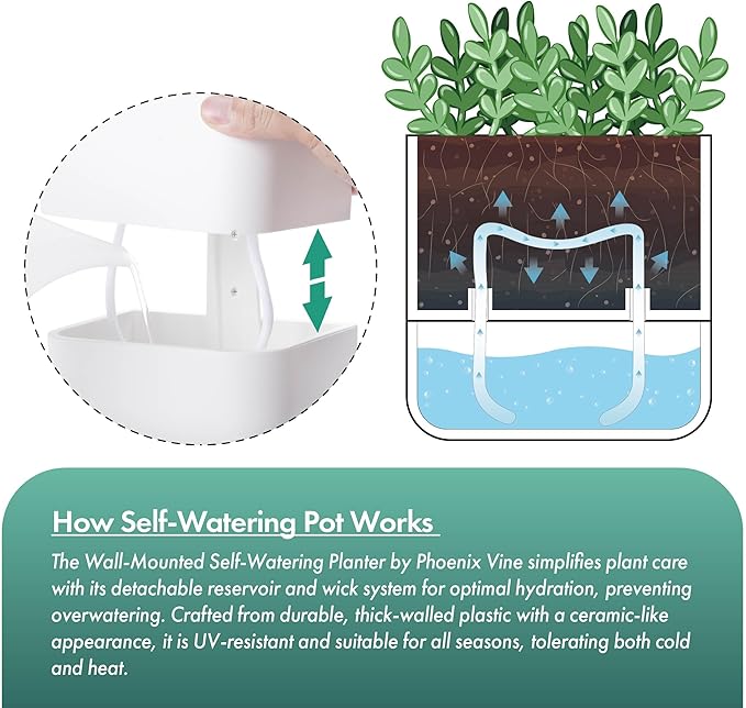 Phoenix Vine 6.5 Inch Wall Mounted Self-Watering Planter Pot