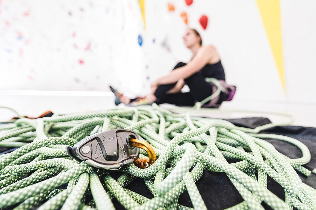 PETZL GRIGRI+ Belay Device with Cam-Assisted Blocking and Anti-Panic Handle, Suitable for Learners and Intensive Use
