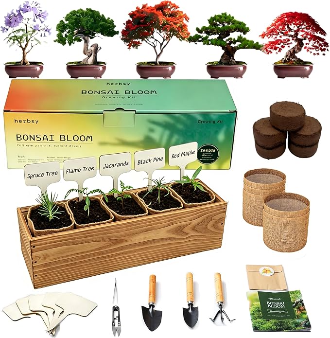 5 Pack Bonsai Tree Kit with Complete Tools, 5X Unique Seeds Bonzai Tree Live Kits, Complete Indoor Bonsai Starter Kit with Wooden Box, Perfect Christmas Garden Gift for Mom, Men, Women, Plant Lover