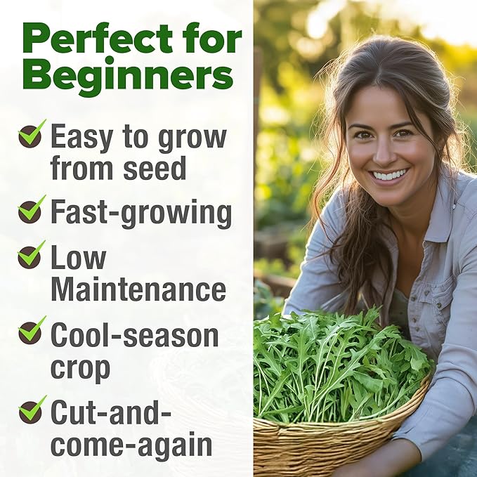 HOME GROWN Arugula Roquette Seeds 2,175+ Heirloom Non-GMO Seeds for Planting, High Germination, Fast Growing Peppery Salad Greens, Indoor Outdoor Hydroponic Garden, Microgreens (Eruca vesicaria)