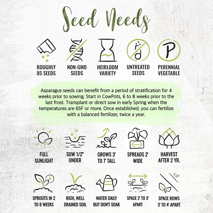 Seed Needs Mary Washington Asparagus Seeds to Plant Heirloom 2 Packs