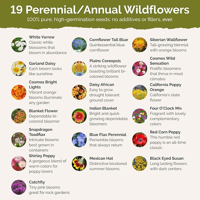 Eden Brothers New Mexico Wildflower Mixed Seeds for Planting, 1/4 lb, 120,000+ Seeds with Yarrow, Coreopsis | Attracts Pollinators, Plant in Spring or Fall, Zones