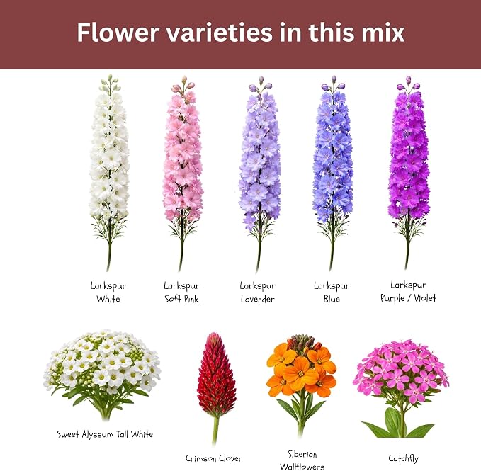 Butterfly and Hummingbird Wildflower Mix – 30,000+ Seeds – 1 oz Bulk Extra Large Resealable Packet – Non-GMO Open Pollinated Wildflower Seeds