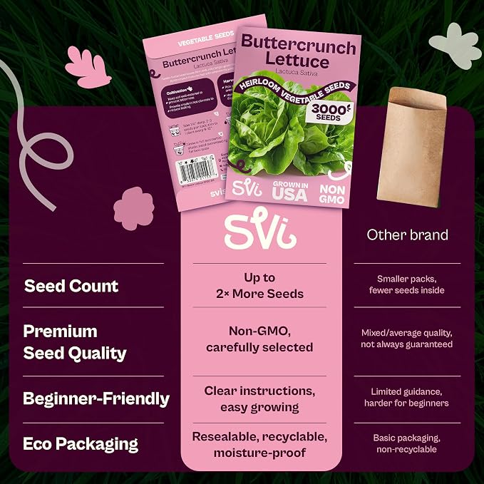 SVI 3000 Buttercrunch Lettuce Seeds (Lactuca Sativa) – Butter Lettuce Head Seed Packets Bulk – Heirloom Vegetable Seeds for Outdoor & Indoor Vegetable Garden, Containers