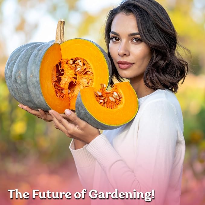 KVITER 25 Jarrahdale Pumpkin Seeds (Cucurbita Maxima) - Blue Pumpkin, Rich Flavor, Heirloom and Non GMO Seed in Seed Packets - Vegetable Seeds for Outdoors, Great for Raised Beds and Containers