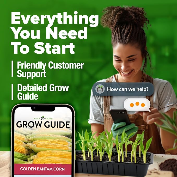 HOME GROWN Golden Bantam Sweet Corn Seeds 200+ Heirloom Non-GMO Seeds for Planting, High Germination, Yellow Kernel Corn on the Cob, Early Summer Harvest, Easy to Grow Home Garden Crop (Zea mays)