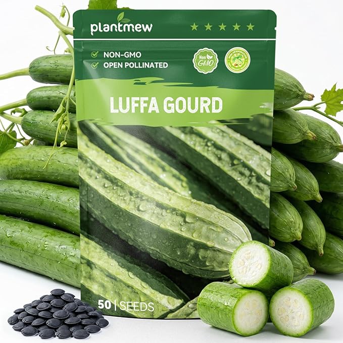 50 Heirloom Luffa Gourd Seeds for Planting – Fast-Growing Sponge Gourd, High Germination, Ideal for Home Garden & Trellis, Annual Vegetable Seeds