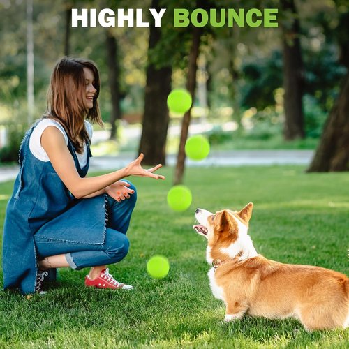 FURWEY Pressureless Tennis Balls - Bulk Pack of 12/24/36/80 with Mesh Bag for Easy Transport | Ideal for Dogs & Beginners
