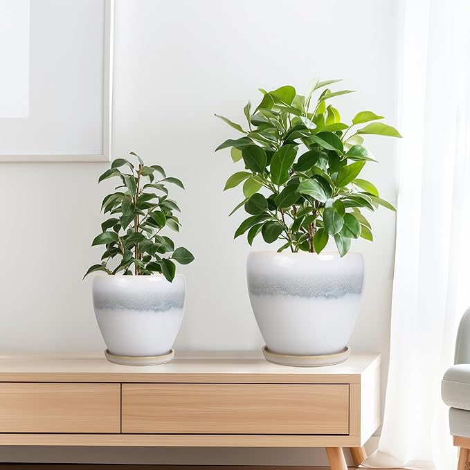 Ceramic Plant Pots - Modern Round 10 Inch 8 Inch 6 Inch Planters for Indoor Outdoor, Flower Pots with Drainage Holes and Plant Saucers, Home Decor, Plant Lover Gifts, Set of 3, White-Grey