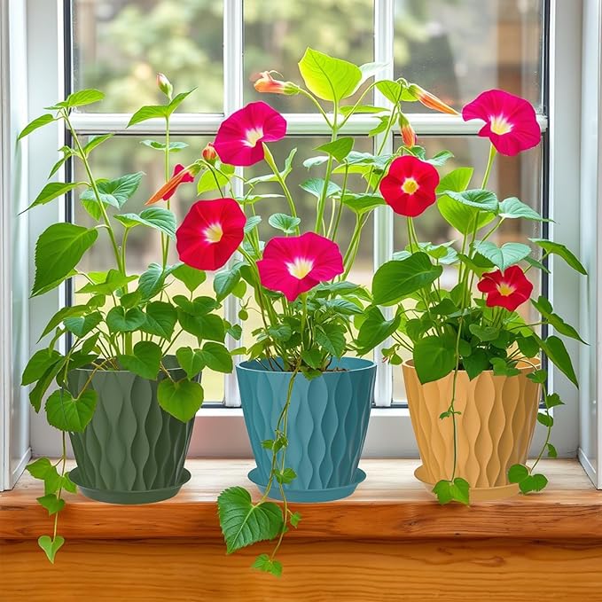 7 Inch Plant Pots Set of 5, Plastic Flower Pots with Drainage Holes and Trays, Planter Pot for Indoor Plants, Decorative Pots for Plants Indoor/Outdoor （Multicolor）