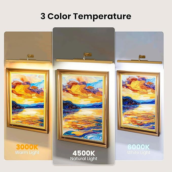 2 Pack 24 Inch Wall Lights for Pictures