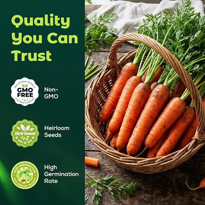 3000 Scarlet Nantes Carrot Seeds for Planting - Heirloom Variety, Fast Growing Vegetable Seeds for for Home Garden & Container Planting