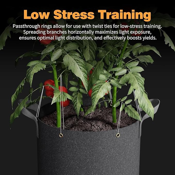 Patigrow Self-Watering Grow Bags, 5-Pack 3 Gallon 420G Thick Nonwoven Fabric Pots with Reinforced Handles and Multi-Purpose Rings, for Low Stress Plant Training Fruits, Vegetables,and Flowers