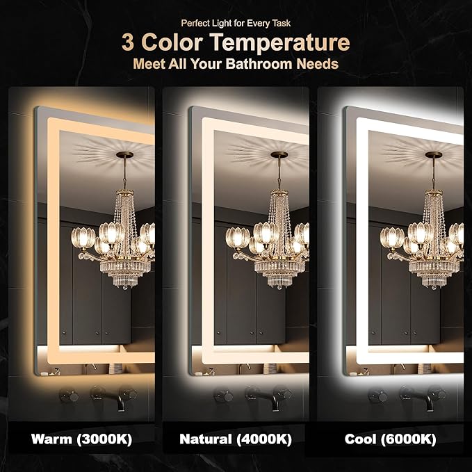Delma LED Bathroom Mirror with Lights, 30x55 Vanity Mirror