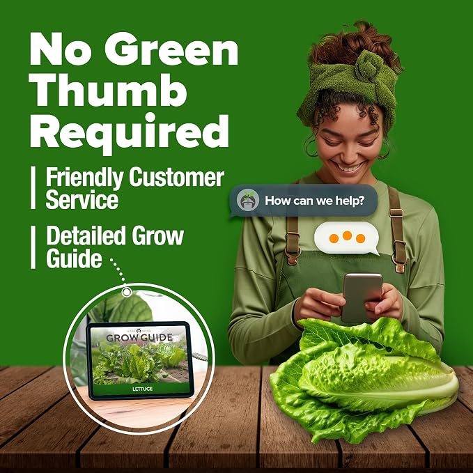 HOME GROWN Parris Island Romaine Lettuce Seeds 7000+ Bulk Pack Heirloom Non-GMO, High Germination, Crisp Cos Lettuce for Planting, Indoor Outdoor Hydroponic Garden, Slow to Bolt (Lactuca Sativa)