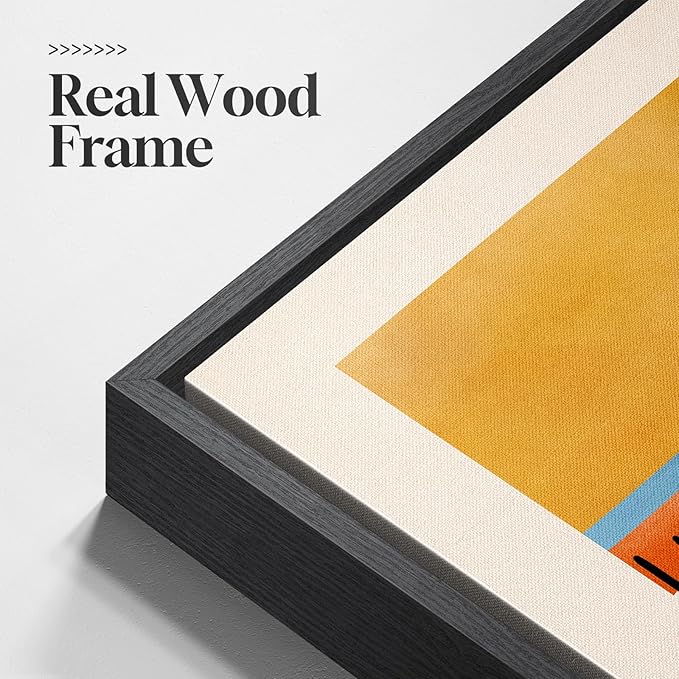 Framed Colorful Abstract Wall Art