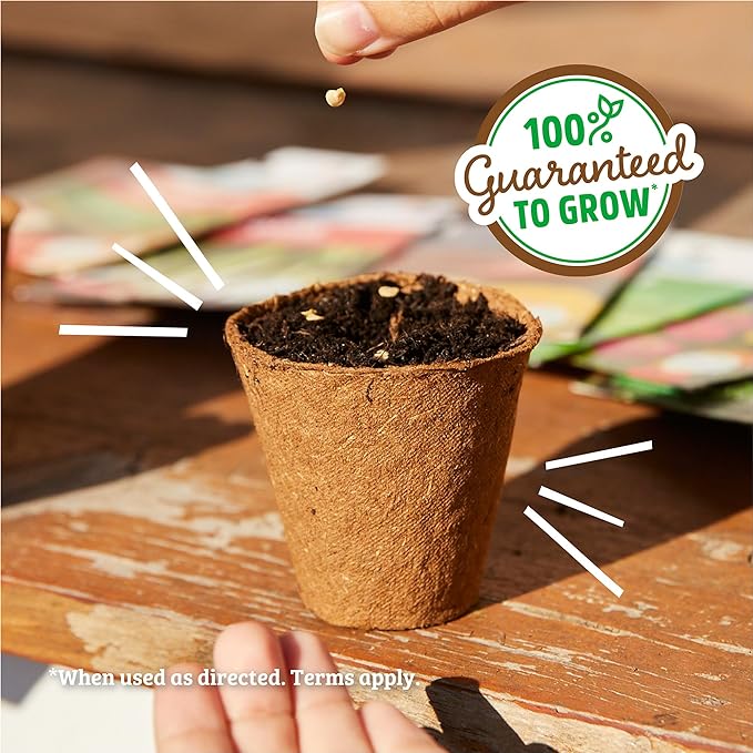 Back to The Roots 100% Organic Seed Packet - Lettuce 'Gourmet Blend' 420mg