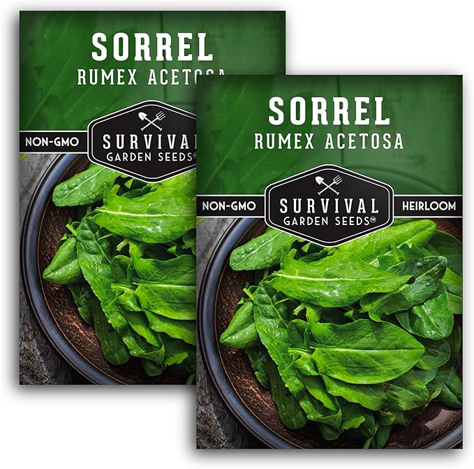 Sorrel Seeds for Planting - Large Leaf Garden Sorrel - Cool Weather Perennial Vegetable for Edible Leafy Greens - Heirloom Non GMO - Survival Garden Seeds (2 Packs)