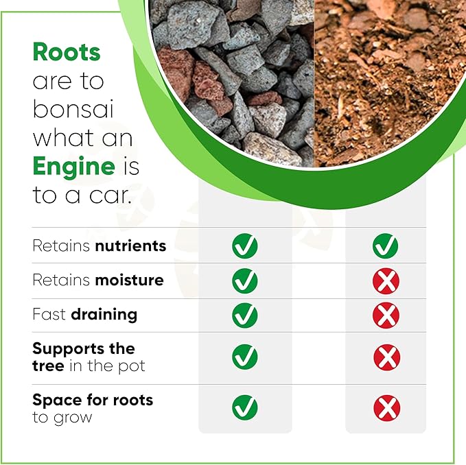Bonsai Soil Mix by Tinyroots - All Purpose Bonsai Soil Mix Ready to Use Blend, Used for All Varieties of Bonsai Trees, 2.25 Quarts