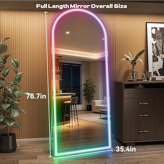 Hasipu Arch Full Length Mirror 79 x 36 in