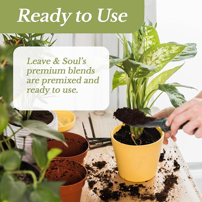 Professional Aloe Plant Soil Mix Large 2.2 Quarts Ready to Use, Premium Potting Soil for Aloe Vera Cactus Succulent Plants, Fast Draining Blend Pinebark Peat Course Sand Indoor Made in USA