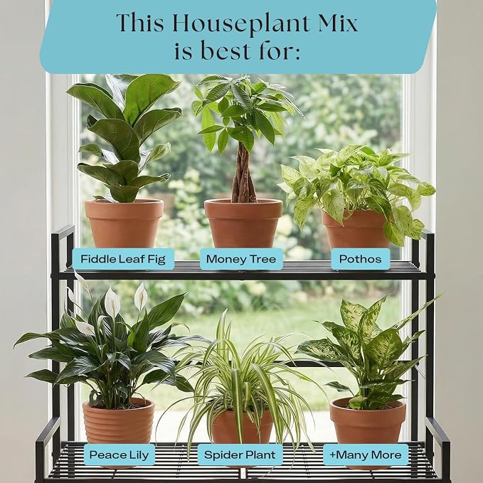 Rosy Soil Houseplant Potting Soil, Organic Indoor Potting Mix with Biochar and Worm Castings for Monstera, Pothos, Tropical Indoor Plants - Peat Free - 4qt