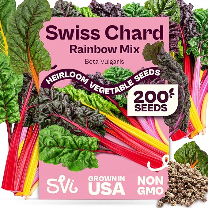 SVI 200 Rainbow Mixture Swiss Chard Seeds (Beta Vulgaris VAR. Cicla) - Five Color Silverbeet Chard, Colorful Stems, Non GMO Heirloom Seed - Perfect Vegetable Seeds in Seed Packets for Home Garden