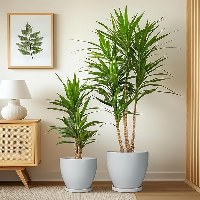 Ceramic Plant Pots - 10+8+6 Inch Modern Round Planters for Indoor Outdoor, Flower Pots with Drainage Holes and Plant Saucers, House Office Decor, Gardening Gifts, Set of 3, Grey