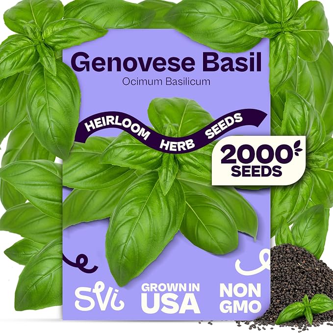 SVI 2000 Genovese Basil Seeds (Ocimum basilicum) – Sweet Basil Seed Packets – Aromatic Non GMO Heirloom Large Leaf Culinary Herb Seeds, Outdoor & Indoor Herb Garden