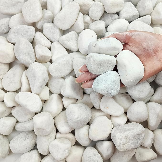FANTIAN 40 lbs White River Rocks for Garden, 2-3 Inch Large Aquarium Gravel. Decorative Stones for Plants, Vases, Cactus, Landscaping and Home Decor