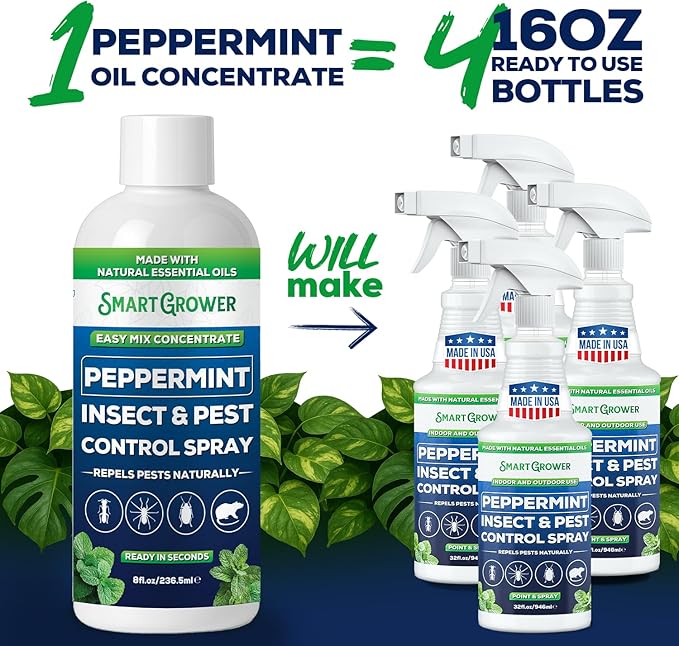 Peppermint Insect & Pest Control Best Value Concentrate - Repels Insects & Pests for Home, Indoor, Outdoor, Garden - Maximum Strength Concentrate (Makes One Gallon RTU) 8 oz