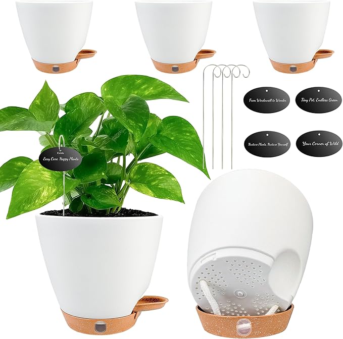 6 Inch Self Watering Pots for Indoor Plants(5-Pack) – Small Plastic Planters with Water Level Window, Drainage Holes & Detachable Trays, Indoor Outdoor Flower Pots for Herbs, Snake,Pothos(White)