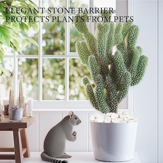 18lb White River Rocks for Plants, 1-3 Inch Pebbles for Indoor Plants, Polished Garden Rocks Outdoor Landscaping, Decorative Stones for Vases, Succulents, Aquarium, Walkways