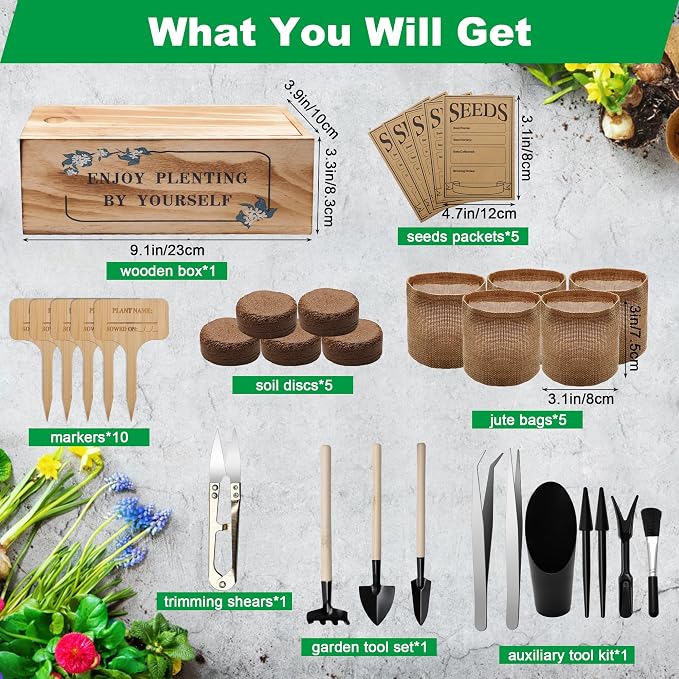 Bonsai Tree Starter Kit, Indoor Bonsai Tree Kit Meeting Planting and Caring Needs Curated Design for A Complete Gardening Experience for Enthusiasts-no Seeds Included