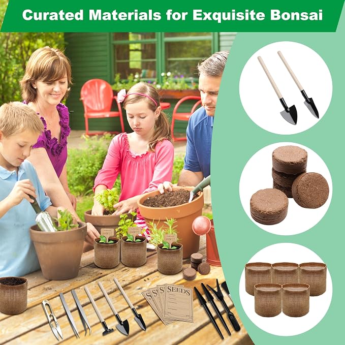 Bonsai Tree Starter Kit, Indoor Bonsai Tree Kit Meeting Planting and Caring Needs Curated Design for A Complete Gardening Experience for Enthusiasts-no Seeds Included