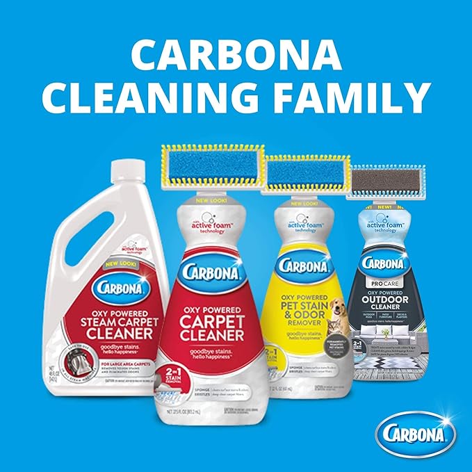 Carbona Pro Care Oxy Powered Outdoor Cleaner with Brush | 22 Fl Oz, 1 Pack