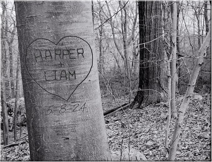 Let's Make Memories Personalized Canvas Wall Art For Couples - Engagement, Wedding, Newlyweds, Anniversary - Home Decor - Carved Heart B&W - Canvas - 11x14