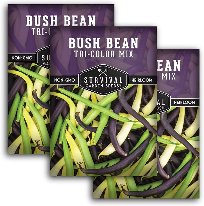 Tri Color Blend Bush Bean Seeds for Planting - Mix of Green, Yellow Wax, & Purple Beans with Stringless Pods - 3 Non-GMO Heirloom High Yield Varieties - Survival Garden Seeds (3 Packs)