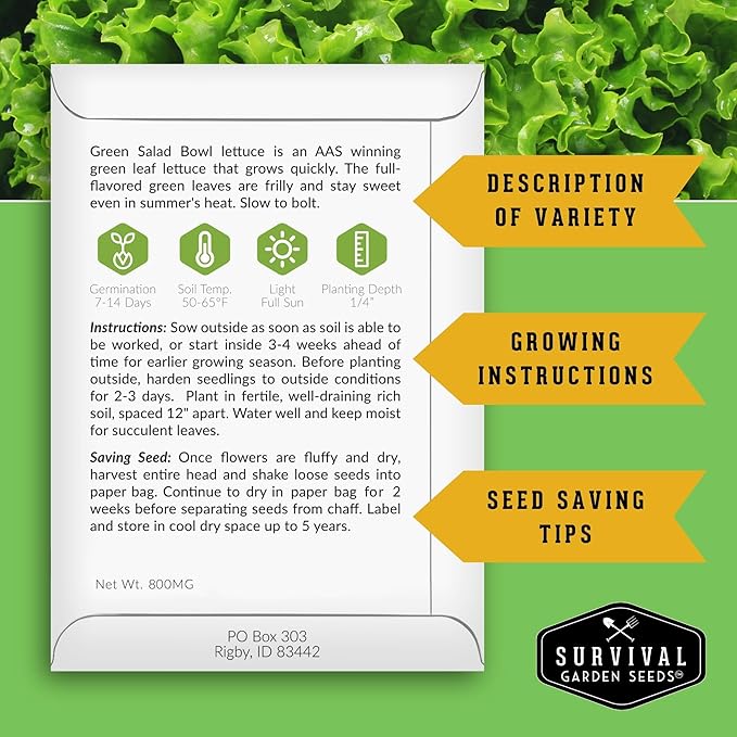 Leafy Greens Seeds Variety Pack – 5 Heirlooms: Viroflay Spinach, Arugula, Lacinato Kale, Salad Bowl Lettuce & Rainbow Swiss Chard – Cool Season Garden Collection - Survival Garden Seeds