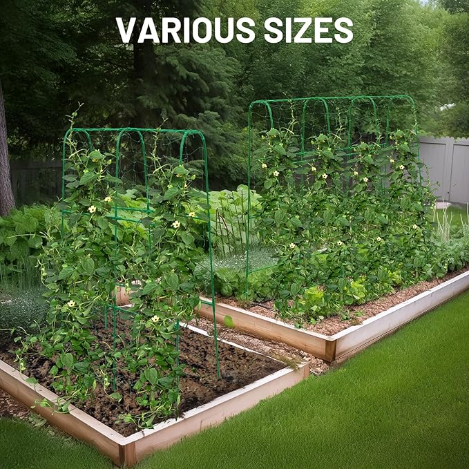 Compact U-Shaped Plant Trellis for Peas, Beans & Light Climbing Plants - Rust-Resistant, Foldable Design, Lightweight Steel, Ideal for Raised Beds & Patio Gardens(31" W x 47" H)