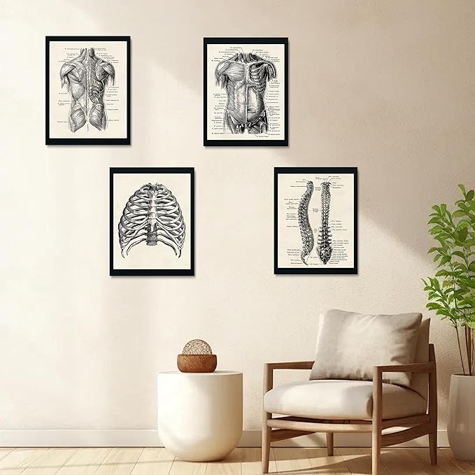 Ohhvvow Human Anatomy Artwork Medical Wall Art Canvas, 8 * 10 Inch Muscle