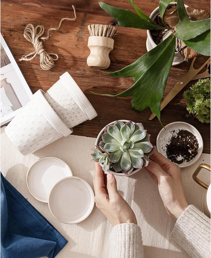 Ceramic Succulent Pots with Drainage Hole & Saucer, 4 Inch Small Plant Pots, Ceramic Planter for Indoor Plants, Embossed Flower Pots, Home Decor, Set of 4, Off-White