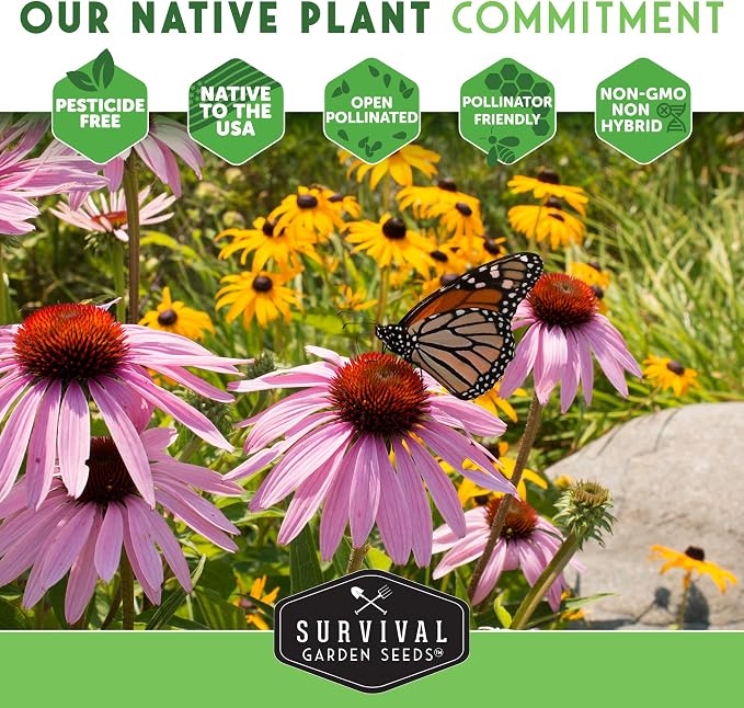 Lewis Blue Flax Seeds for Planting - Plant & Grow Drought Tolerant Native Perennial Wildflowers Your Home Garden - Non-GMO Heirloom Variety - Survival Garden Seeds (1 Pack)