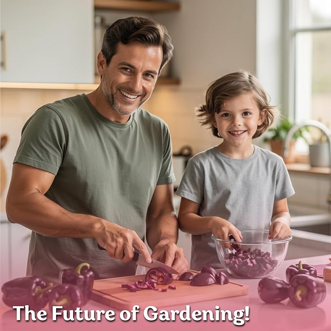 KVITER 75 Purple Beauty Sweet Pepper Seeds (Capsicum Annuum) - Purple Beauty Bell Pepper, High Yield, Mild Flavor, Heirloom Seed - Vegetable Seeds in Seed Packets for Outdoor Gardens, Containers